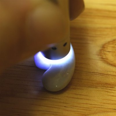 画像7: 獣形勾玉 (7)